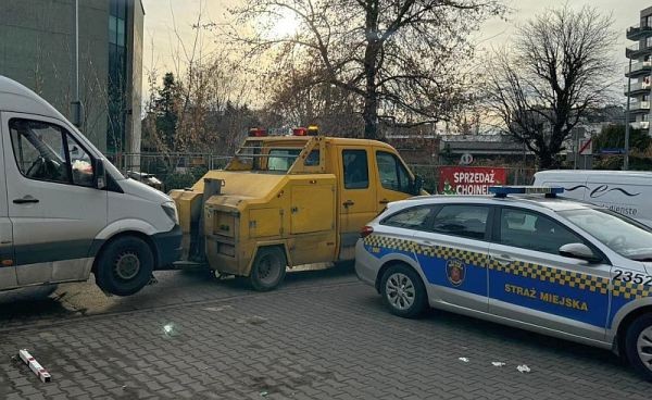 Sprzedawał na Ochocie choinki bez dokumentów